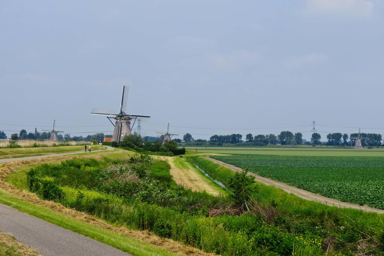 De Strandgaper Zevenhuizen  Esterno foto