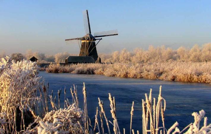 De Strandgaper Zevenhuizen  Esterno foto